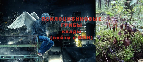 молекула духа Армянск