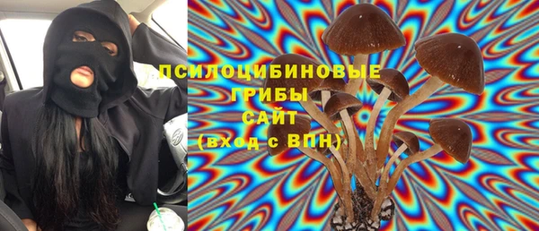 бошки Аркадак